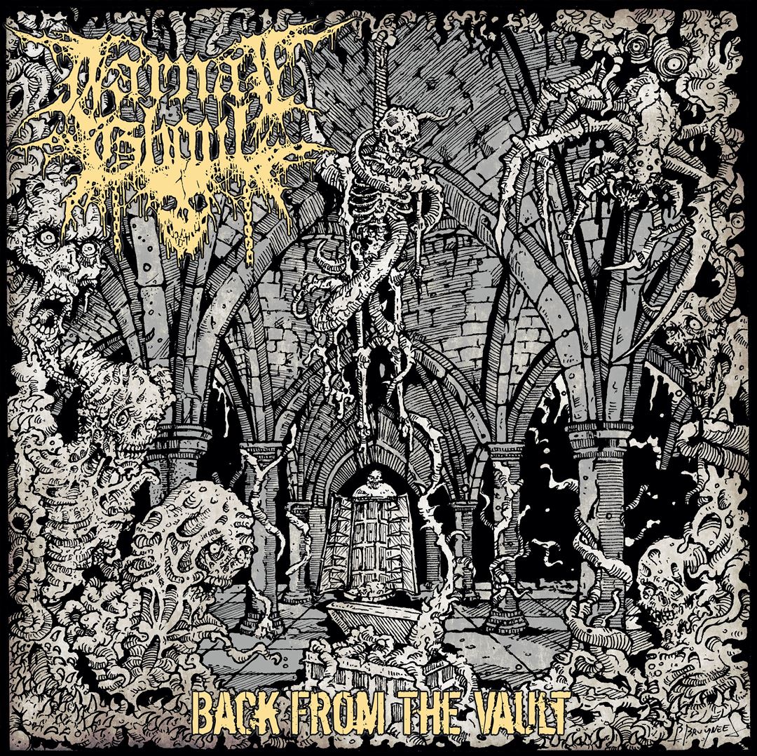 Back From the Vault cover art