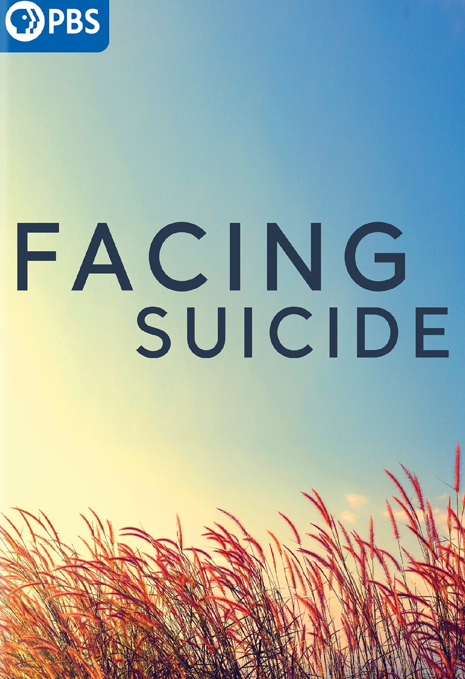 Facing Suicide cover art