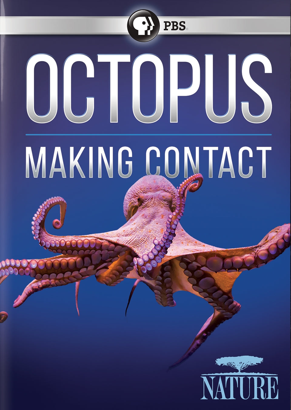 Nature: Octopus - Making Contact cover art