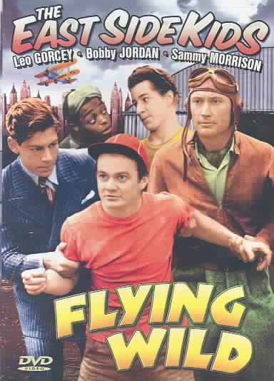 Flying Wild cover art