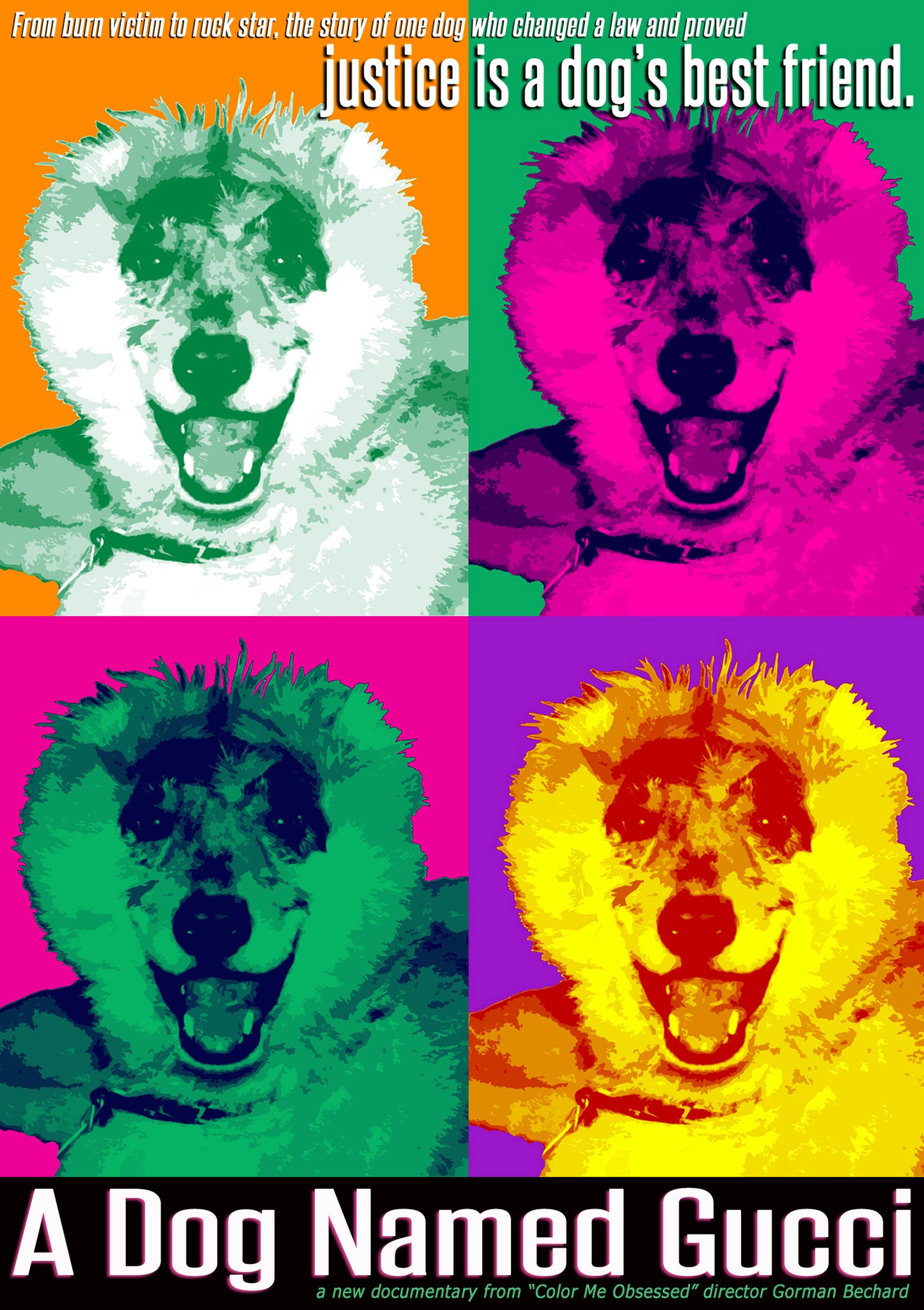 Dog Named Gucci cover art
