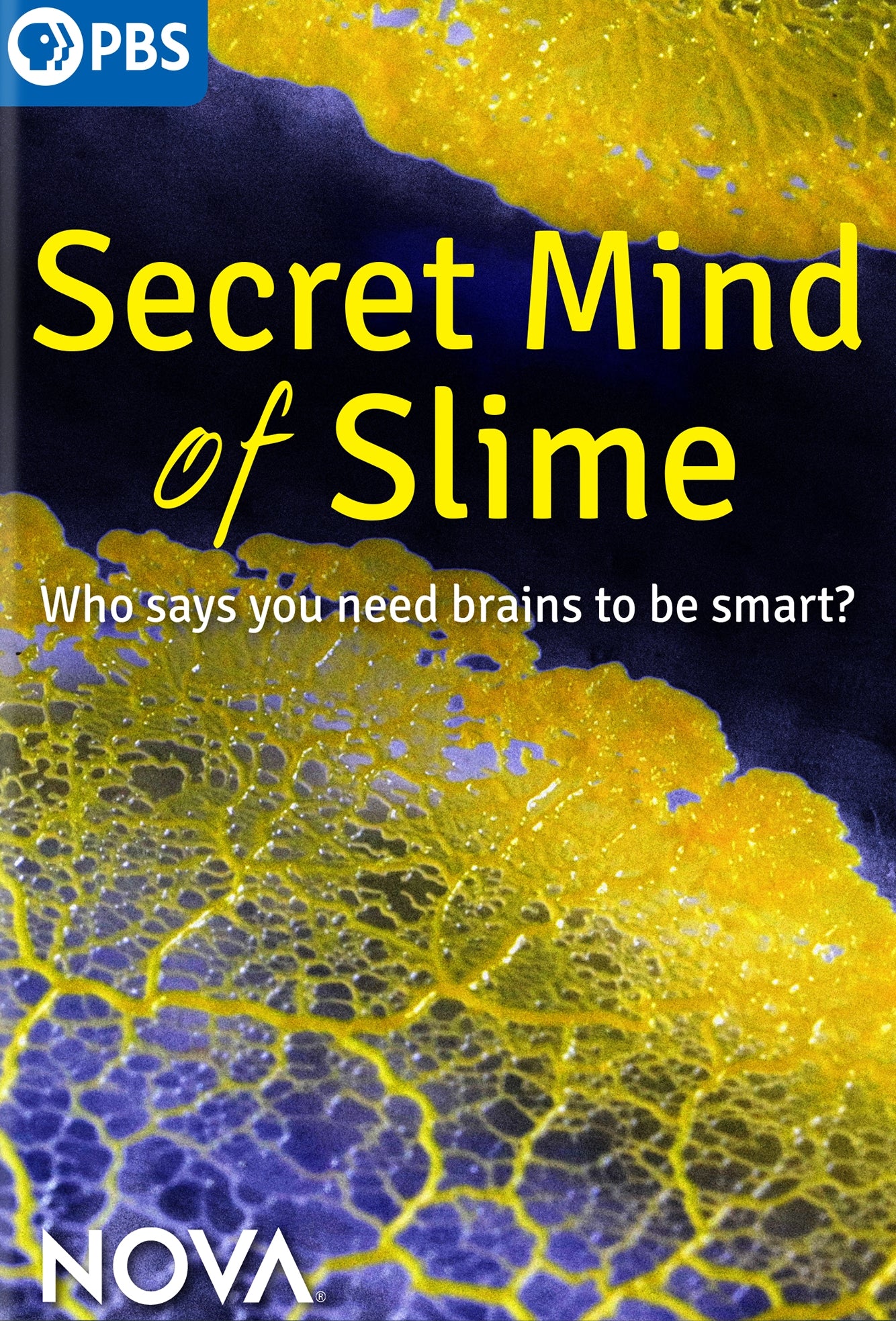 NOVA: Secret Mind of Slime cover art