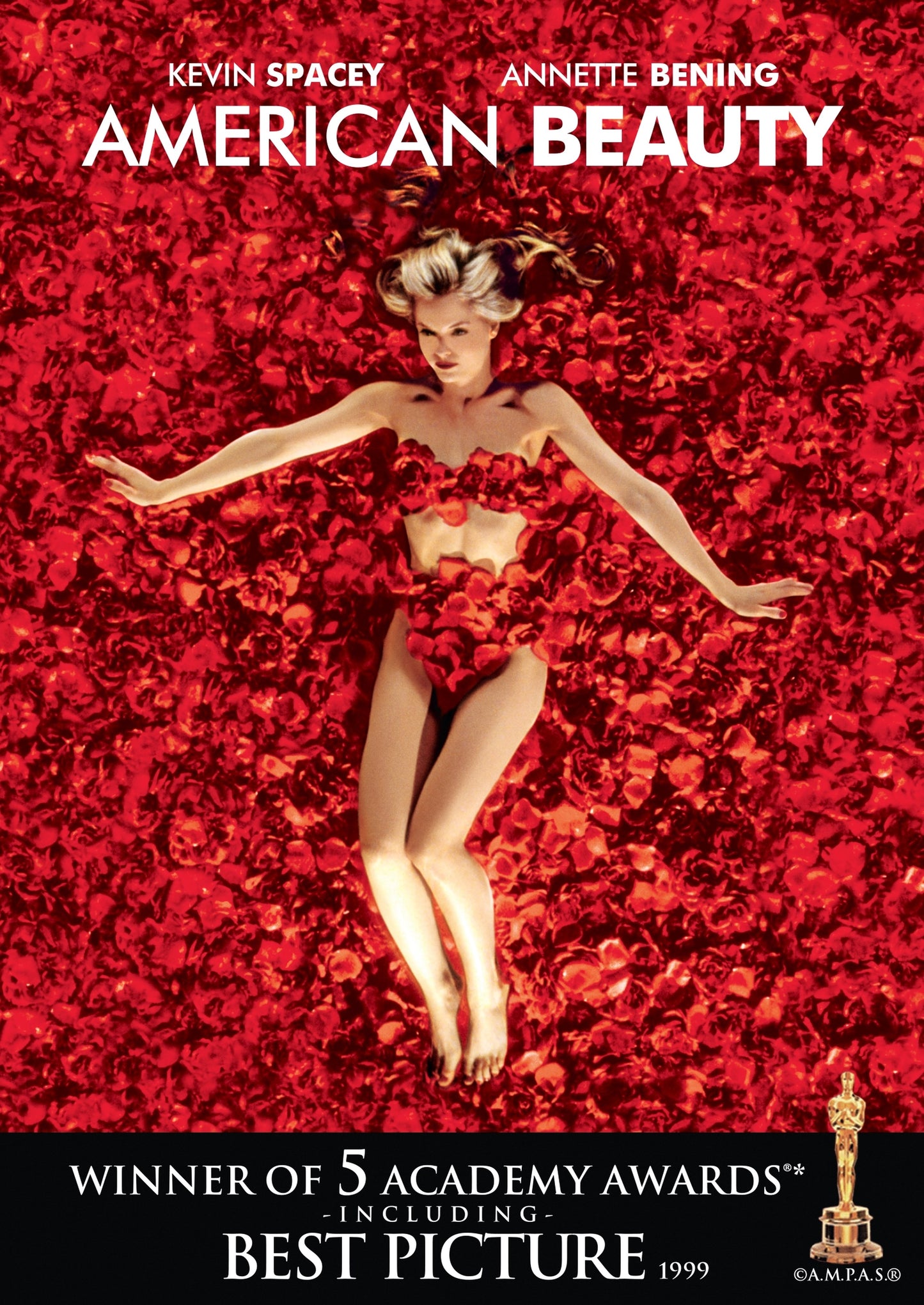 American Beauty cover art