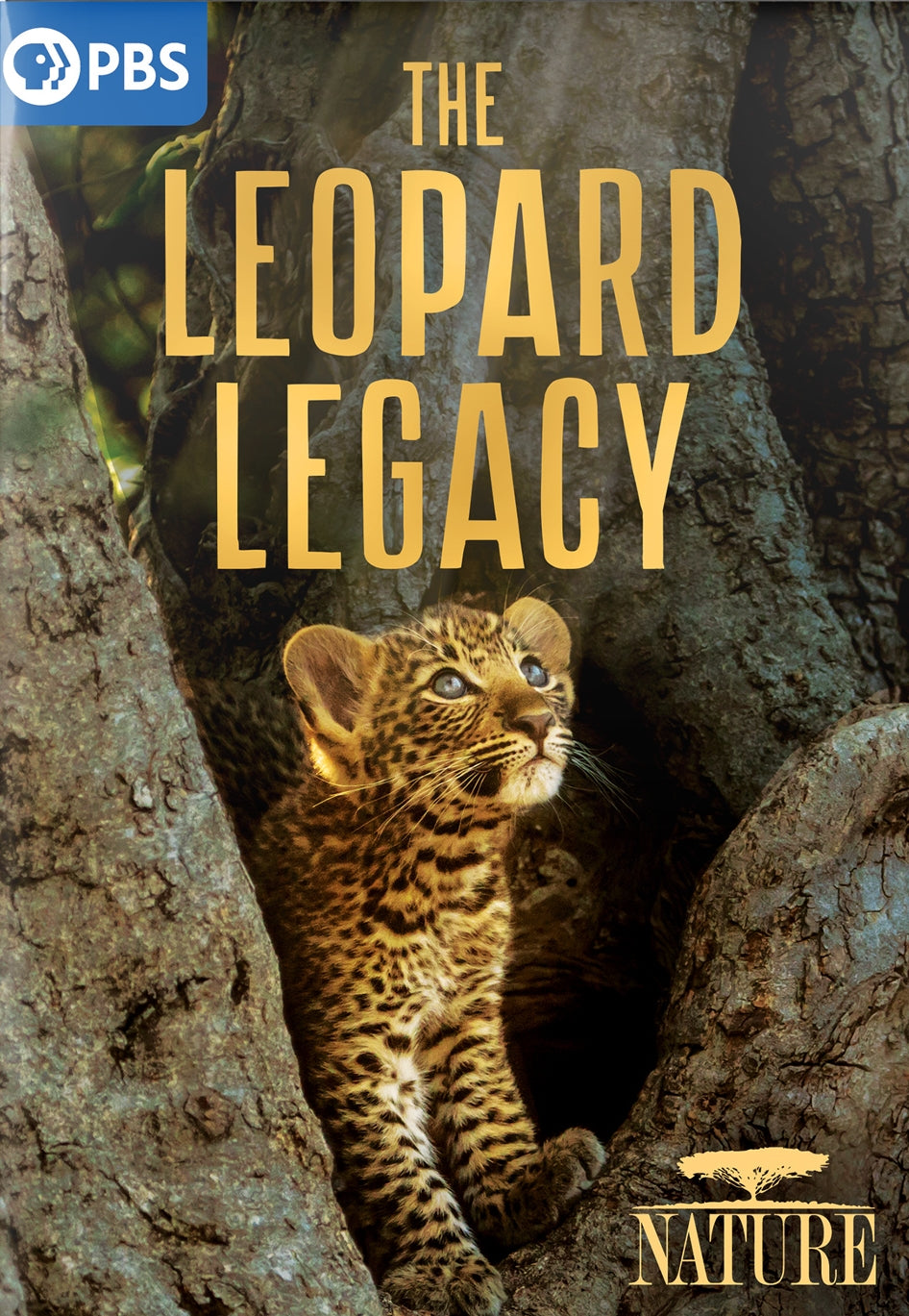 Nature: The Leopard Legacy cover art