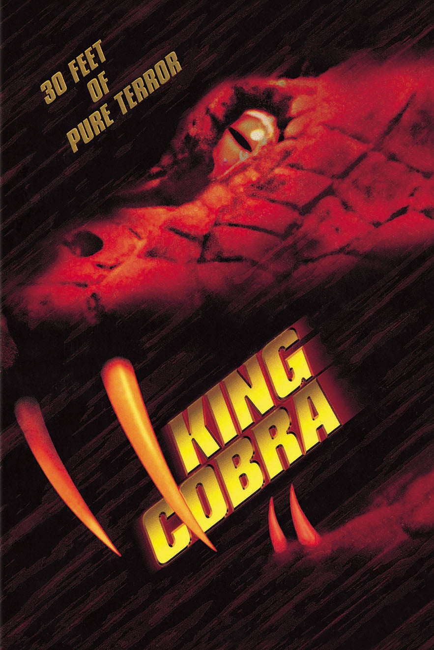 King Cobra cover art