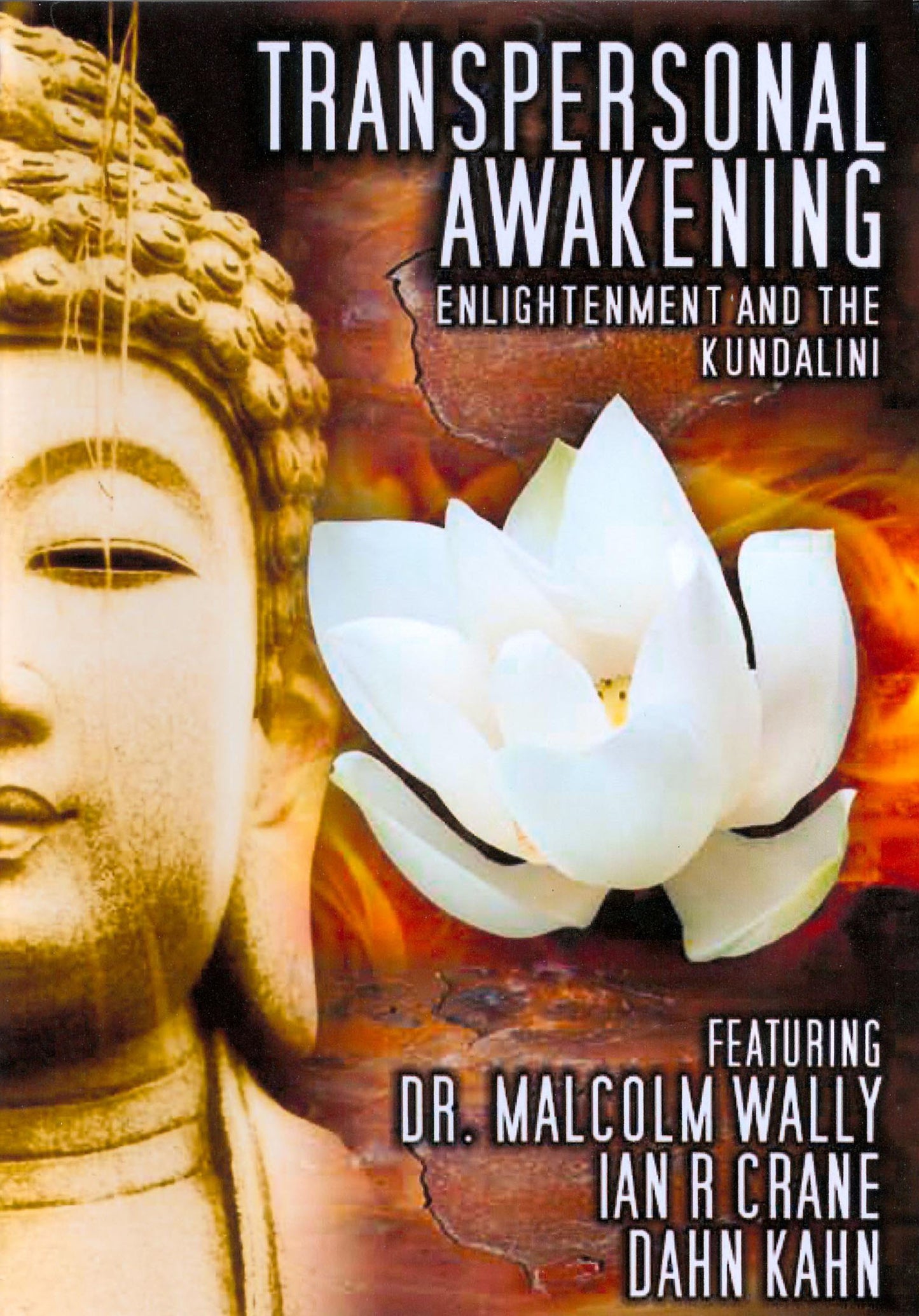 Transpersonal Awakening: Enlightenment and the Kundalini cover art
