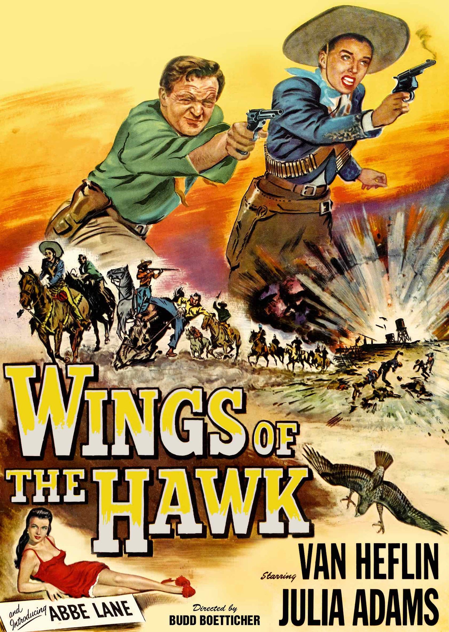 Wings of the Hawk cover art