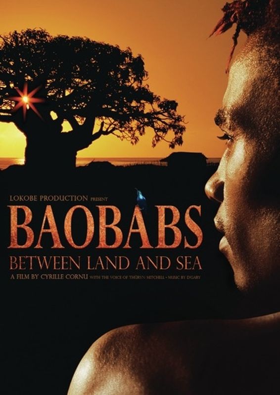 Baobabs Between Land and Sea cover art