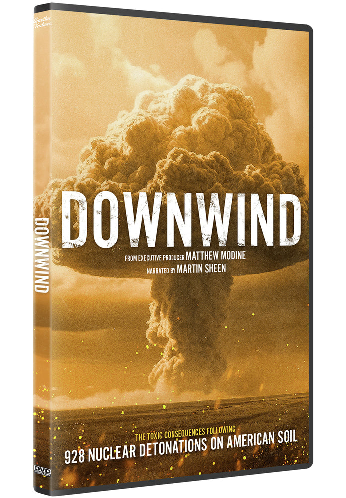 Downwind cover art