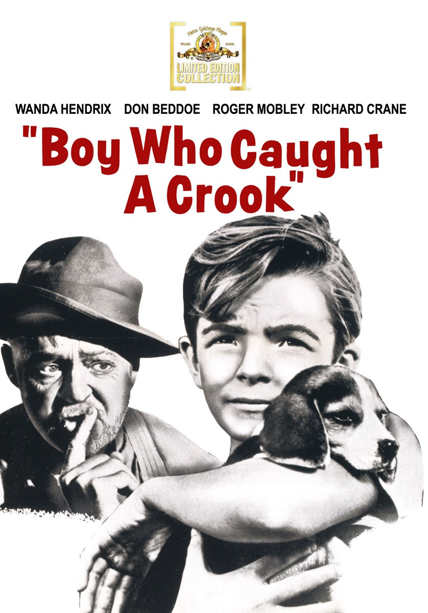 Boy Who Caught a Crook cover art