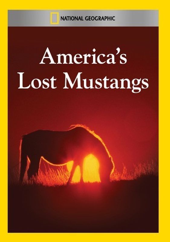 America's Lost Mustangs cover art