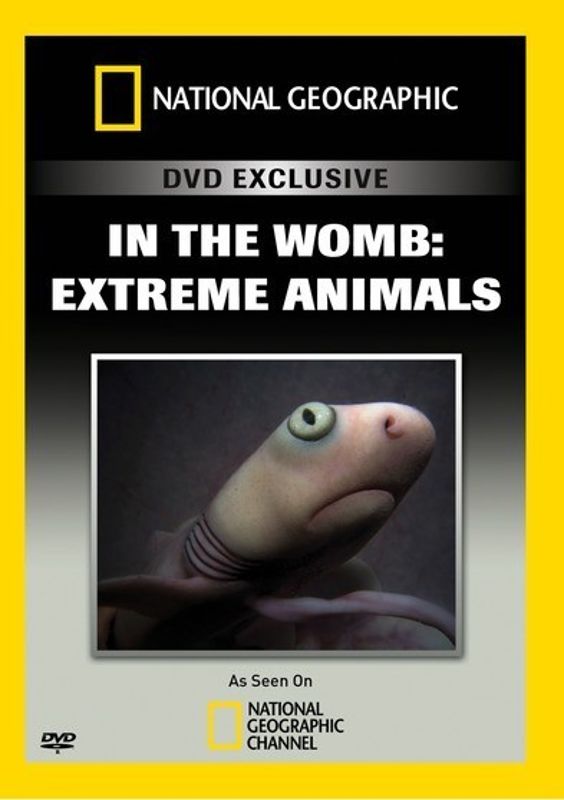 In the Womb: Extreme Animals cover art