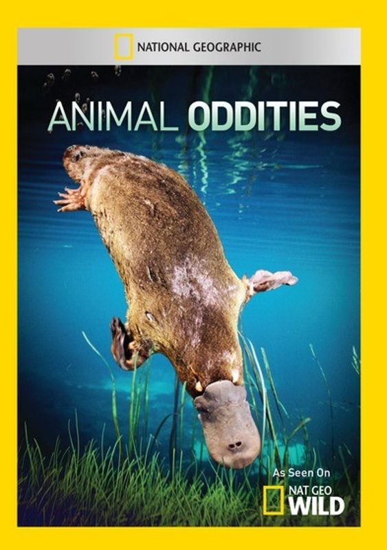 Animal Oddities cover art