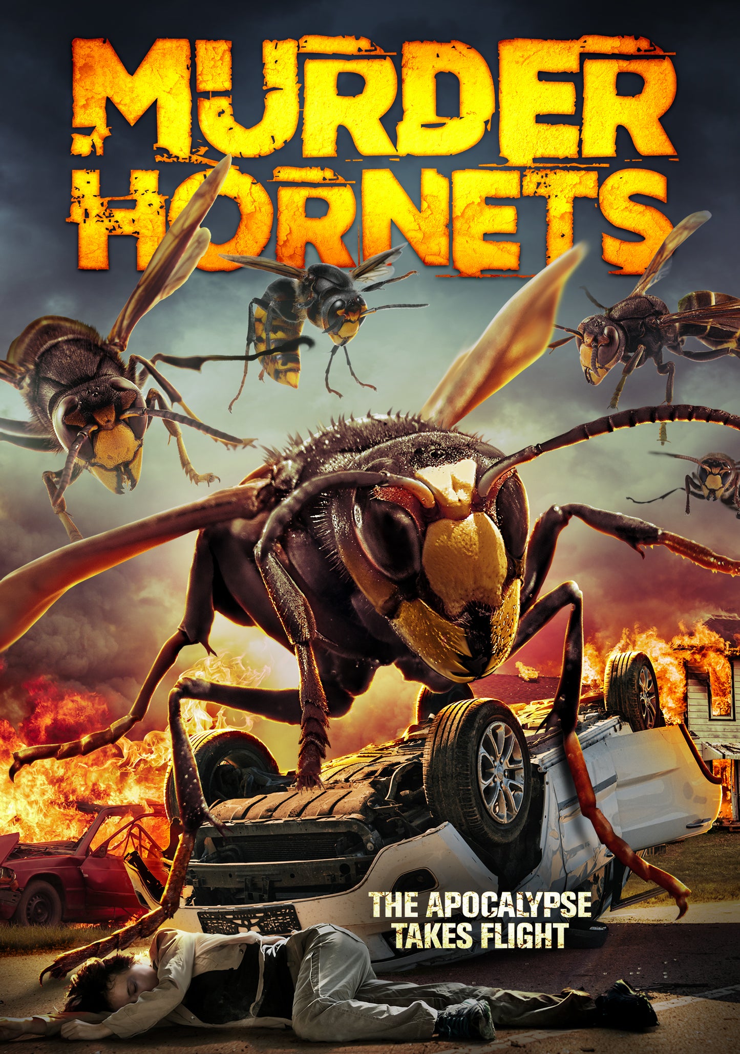 Murder Hornets cover art