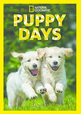 Puppy Days: Season One cover art