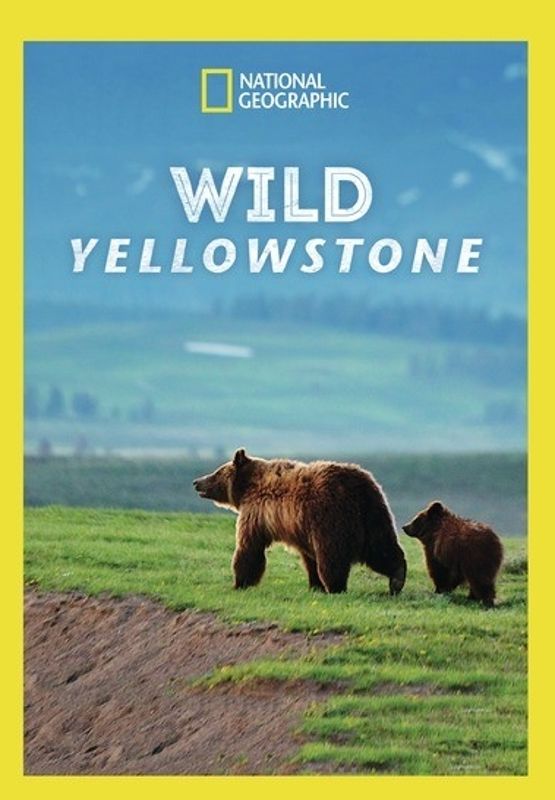 National Geographic: Wild Yellowstone cover art