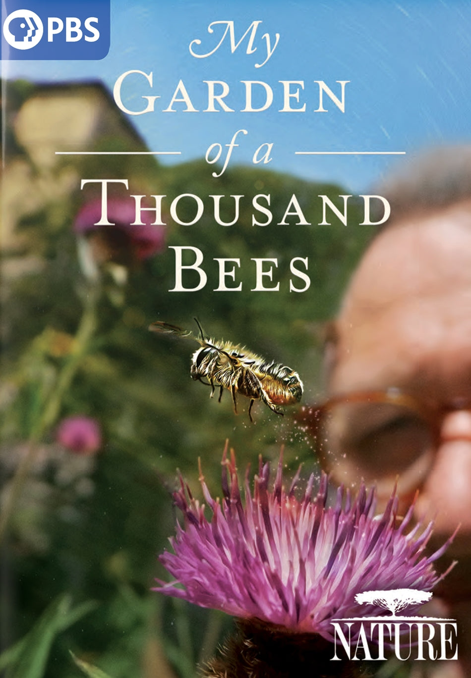 Nature: My Garden of a Thousand Bees cover art