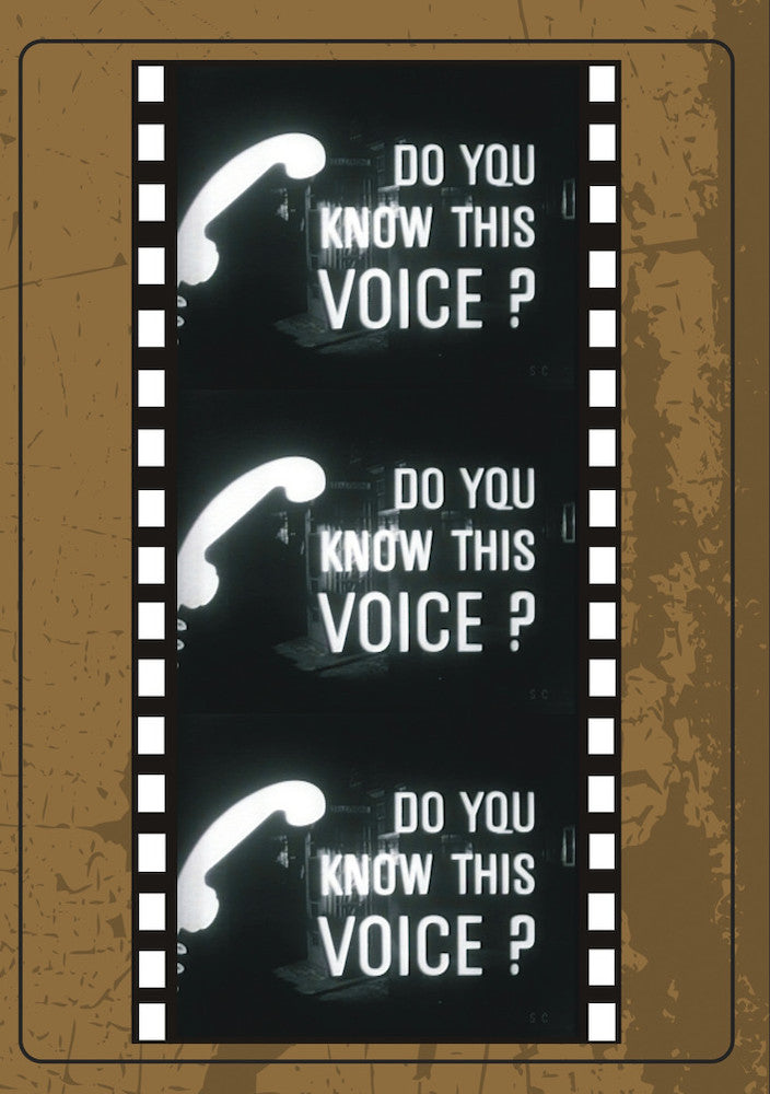 Do You Know This Voice? cover art