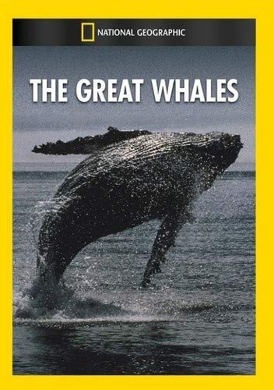 Great Whales cover art