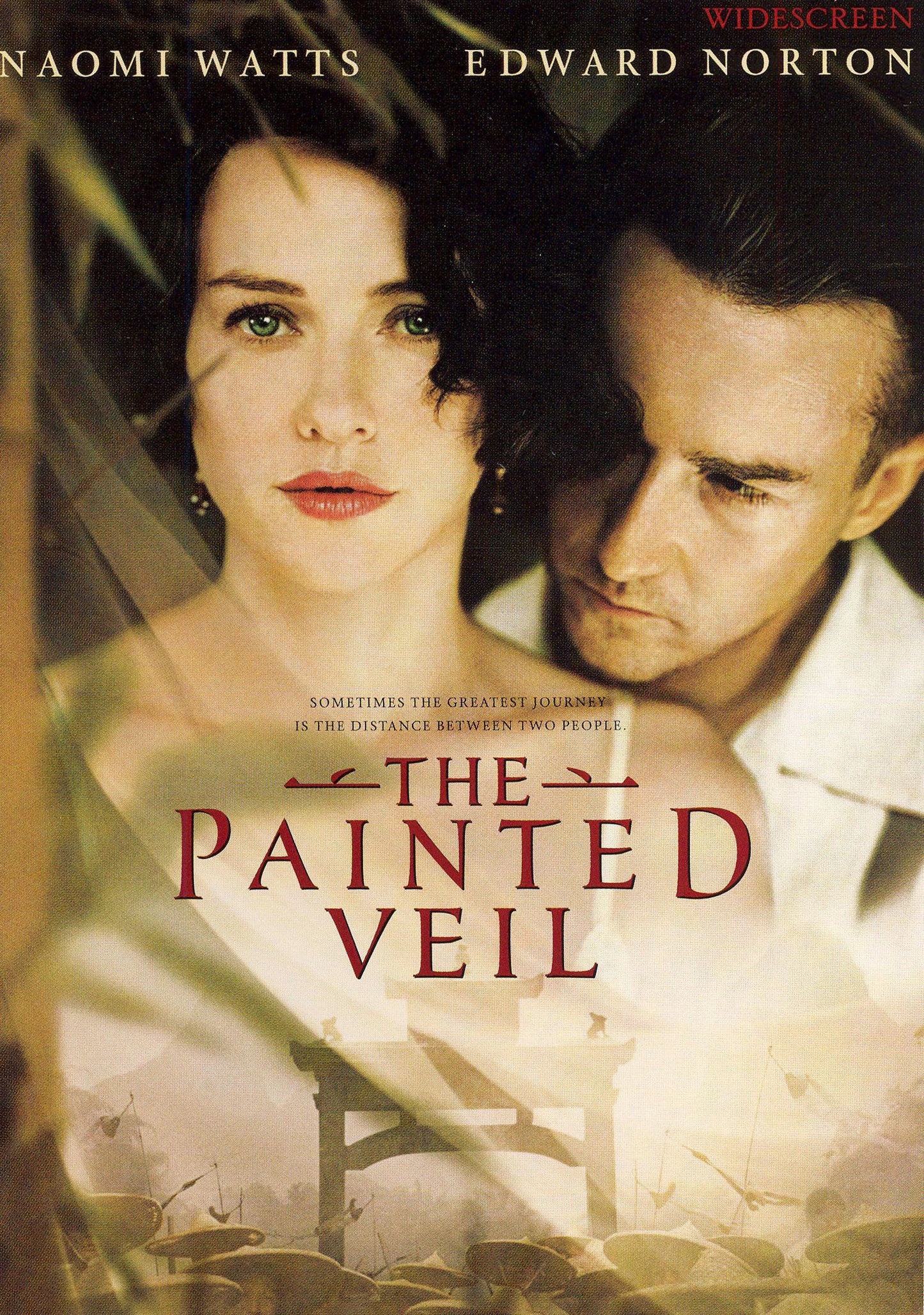 Painted Veil cover art