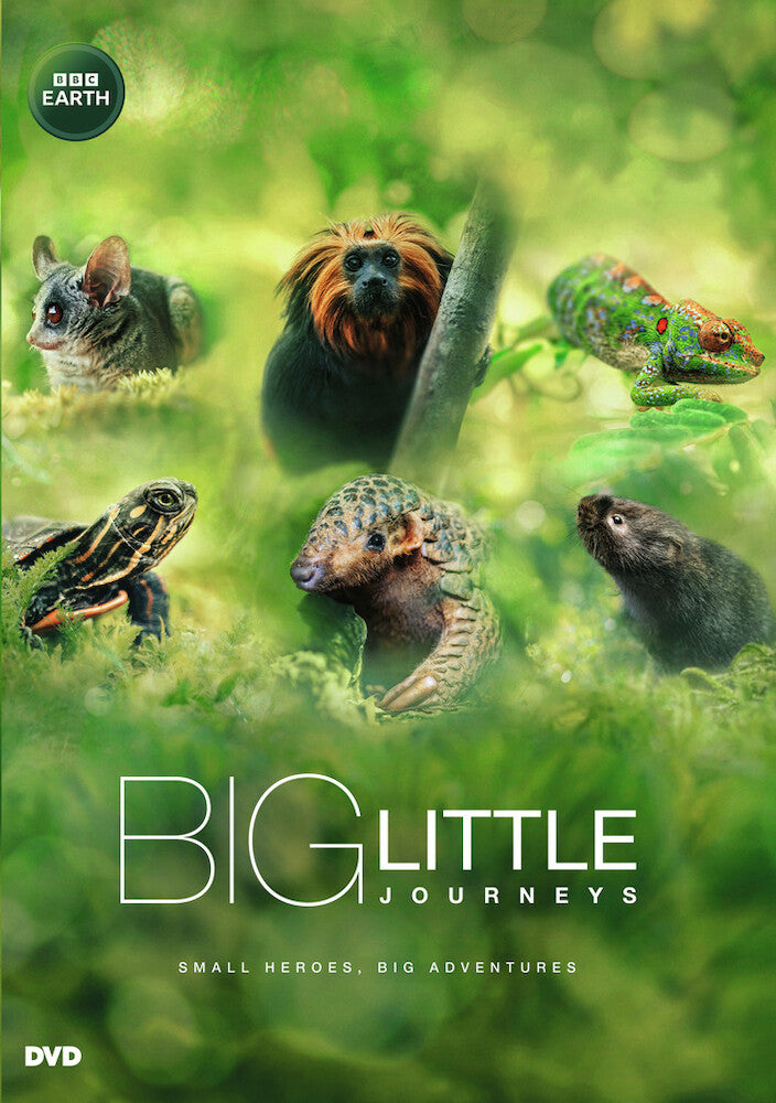 Big Little Journeys cover art