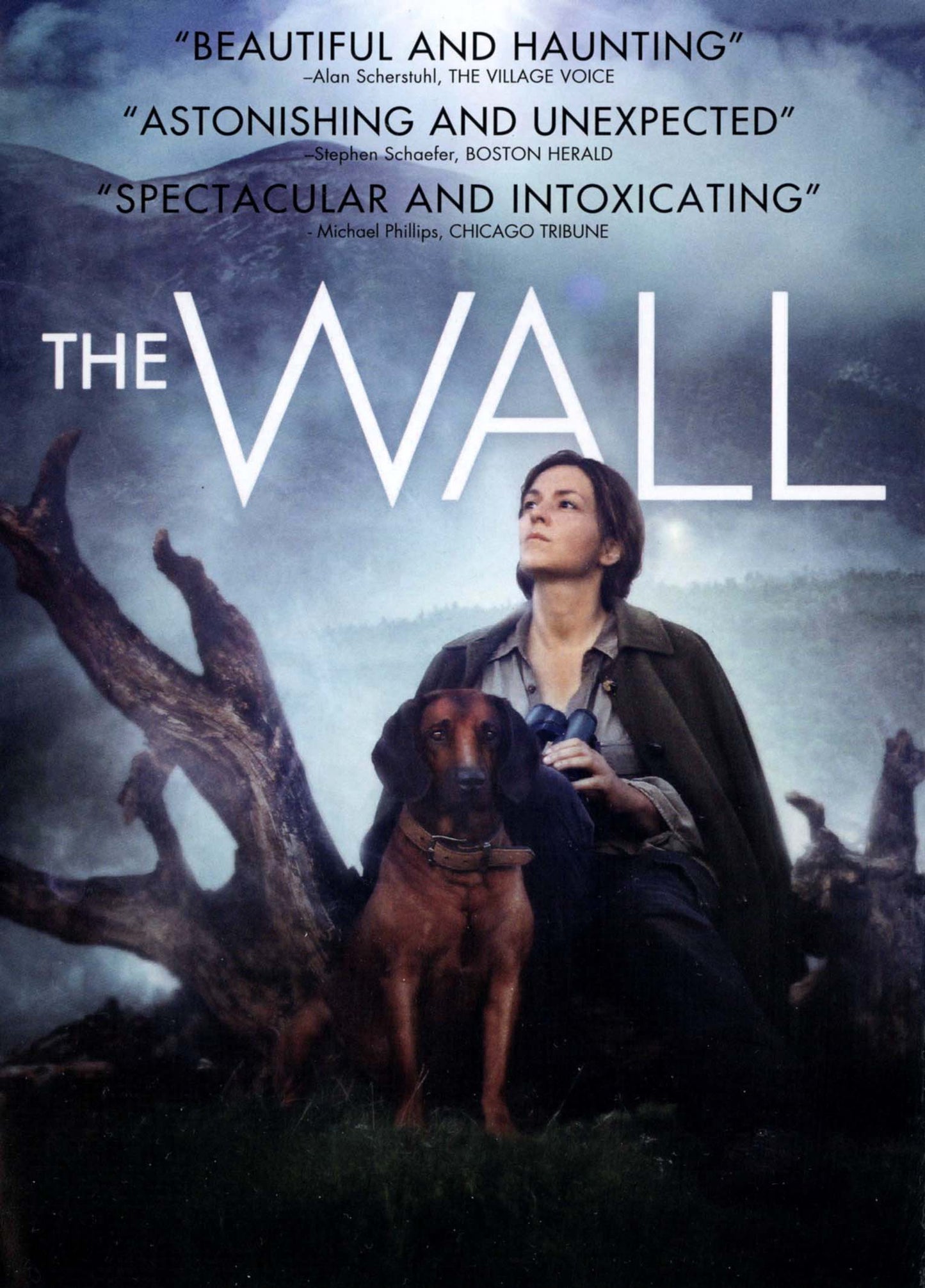 Wall cover art