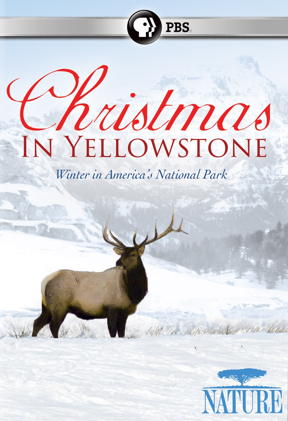 Nature: Christmas in Yellowstone cover art