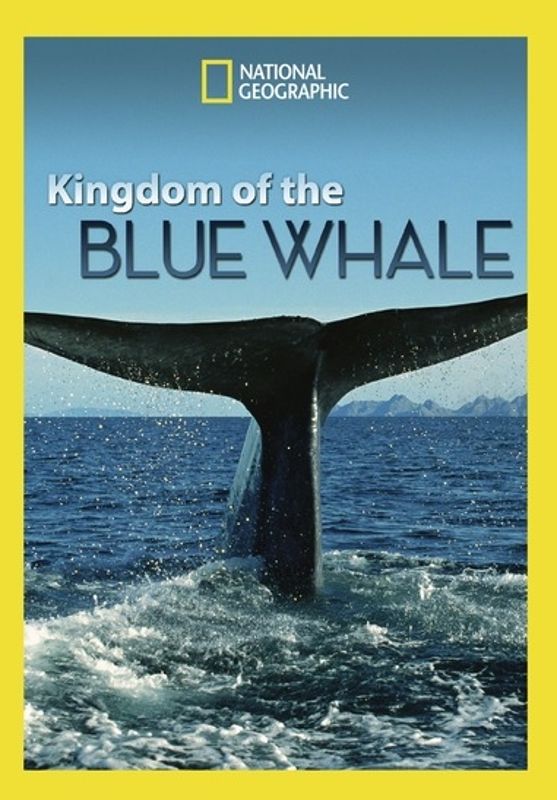 National Geographic: Kingdom of the Blue Whale cover art