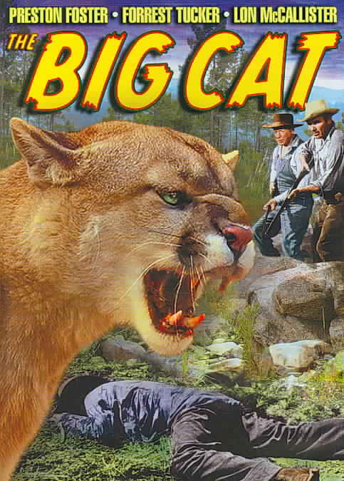 Big Cat cover art