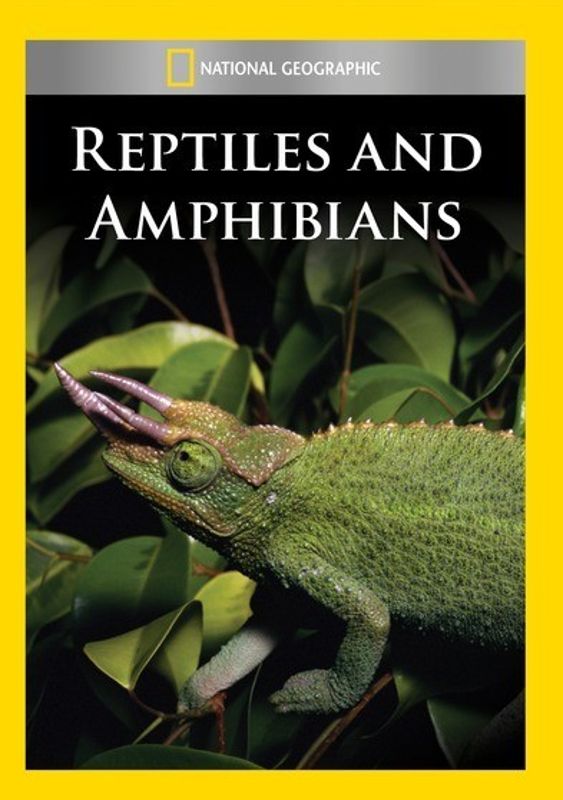 National Geographic: Reptiles and Amphibians cover art