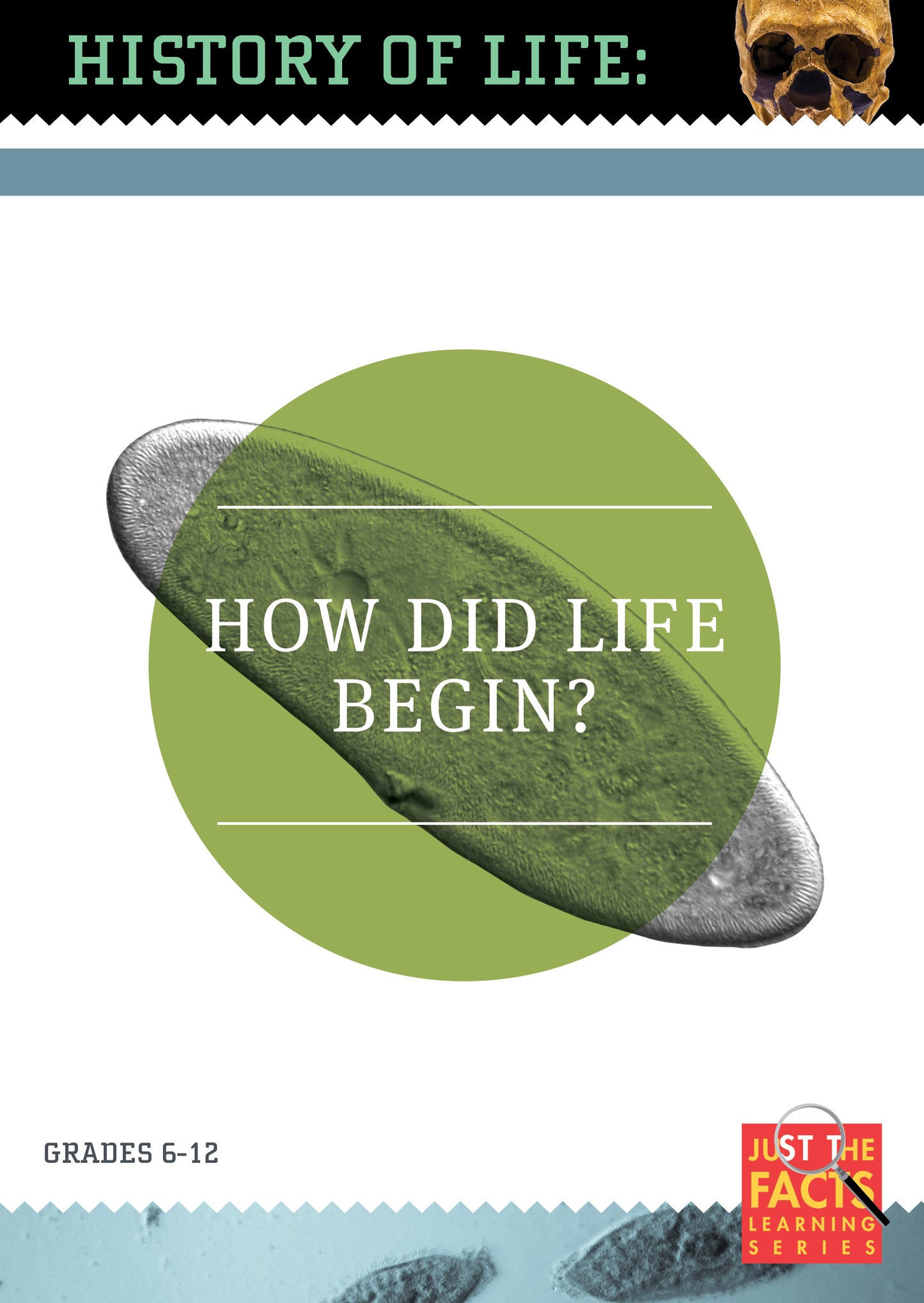 History of Life: How Did Life Begin? cover art