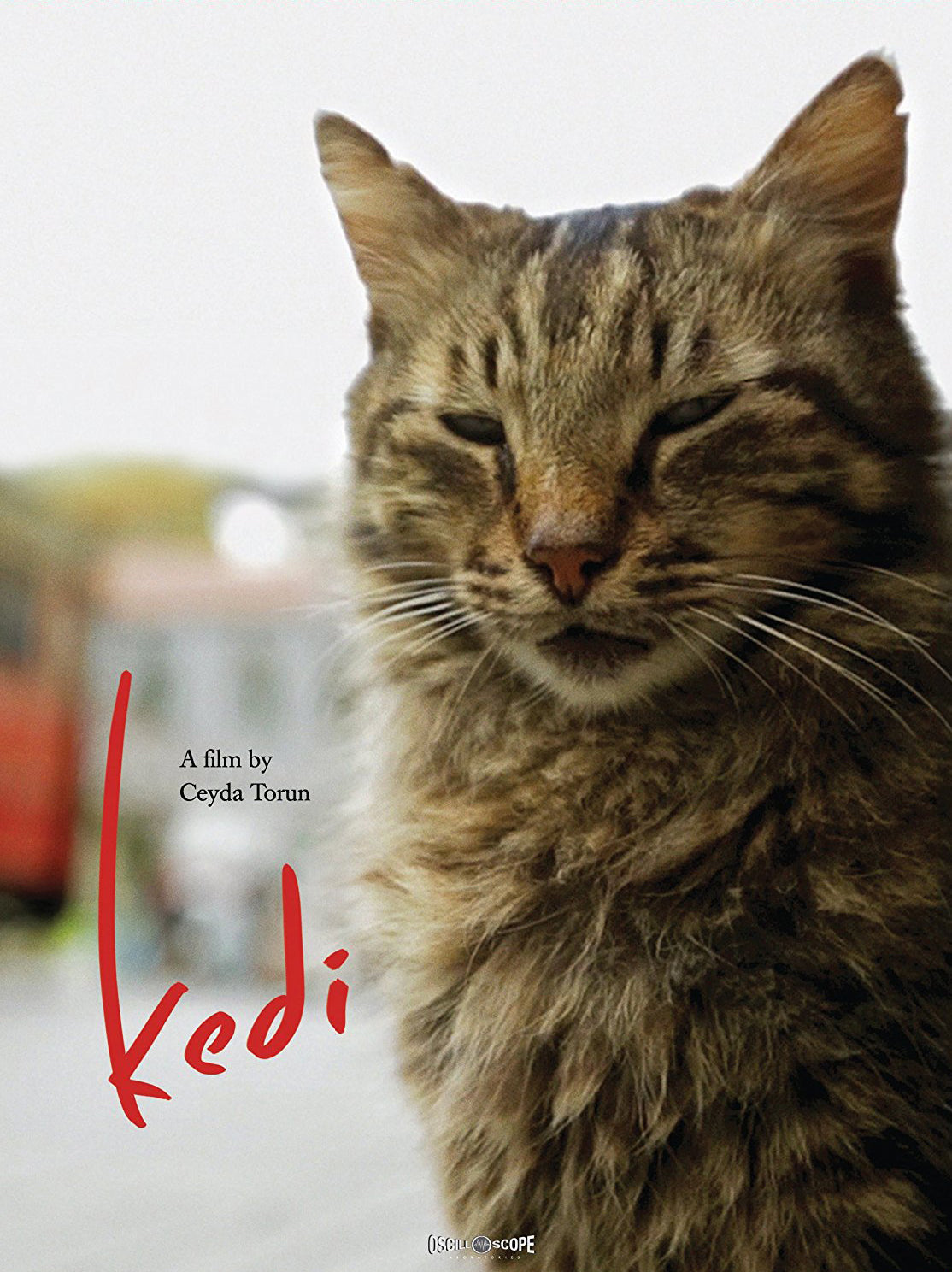 Kedi cover art