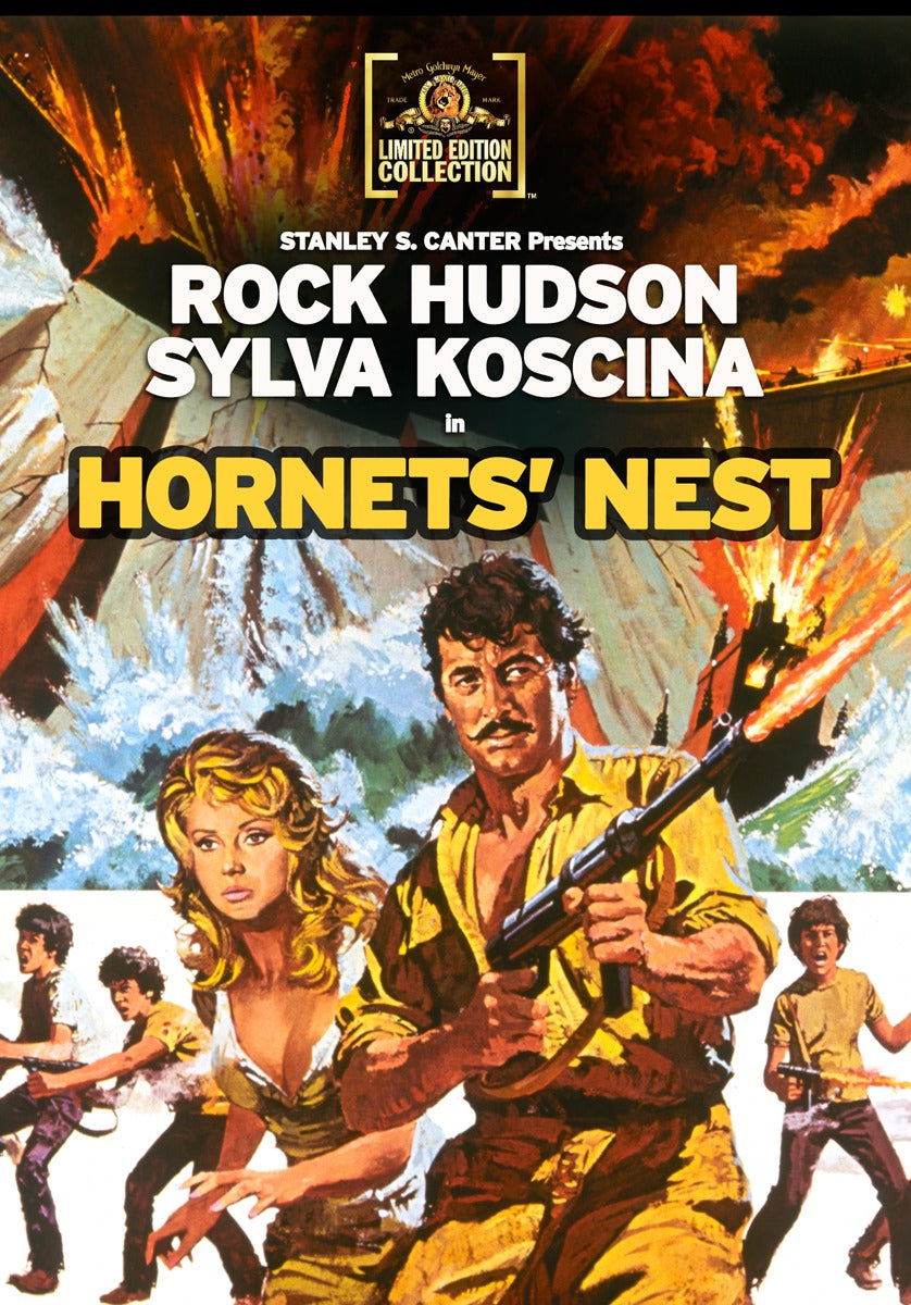 Hornet's Nest cover art