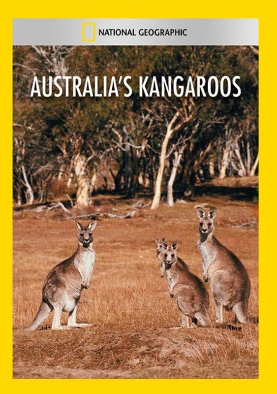 National Geographic: Australia's Kangaroos cover art