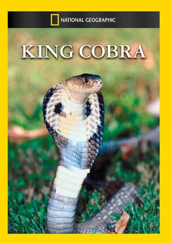 National Geographic: King Cobra cover art