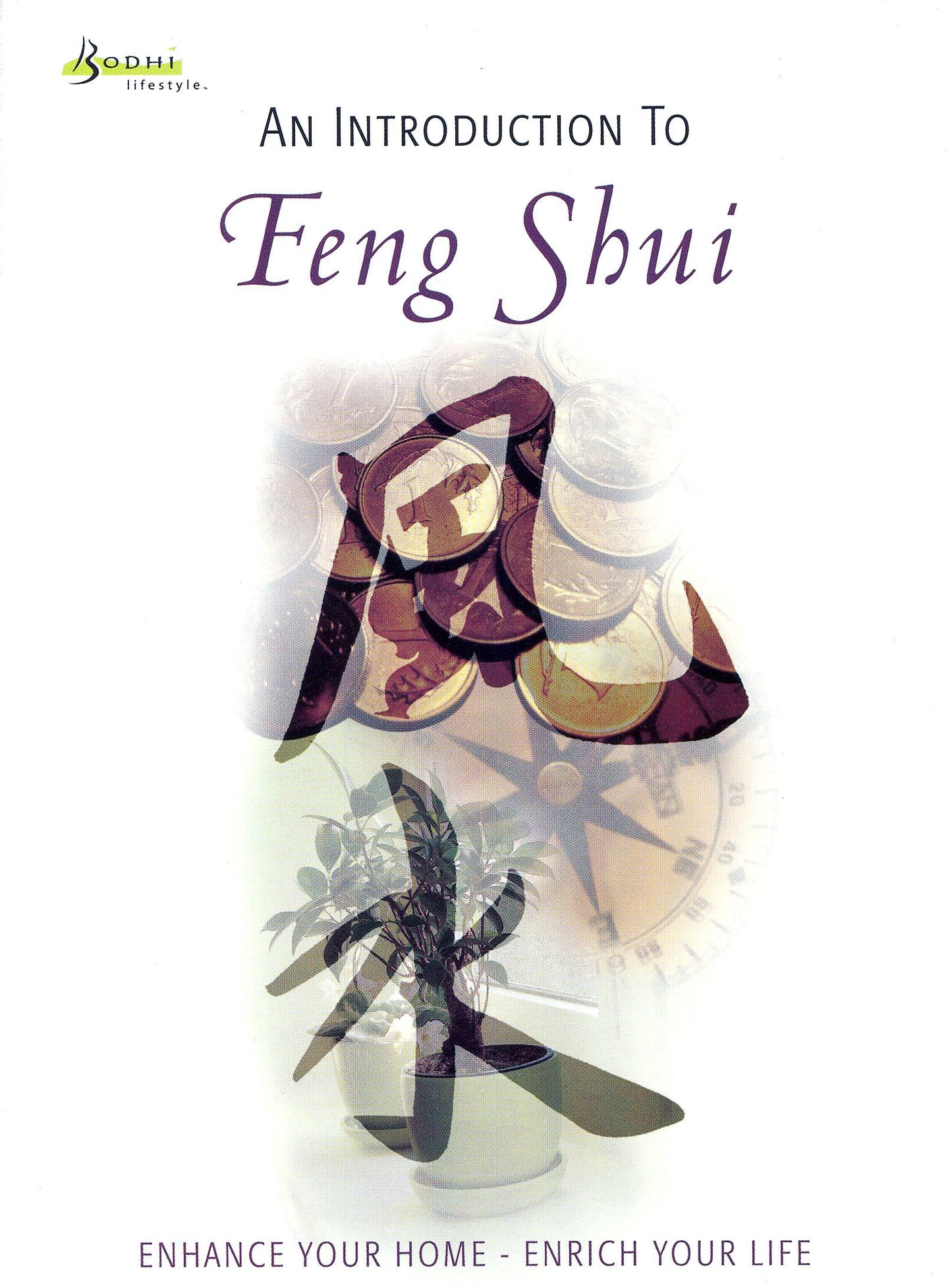 Introduction to Feng Shui cover art