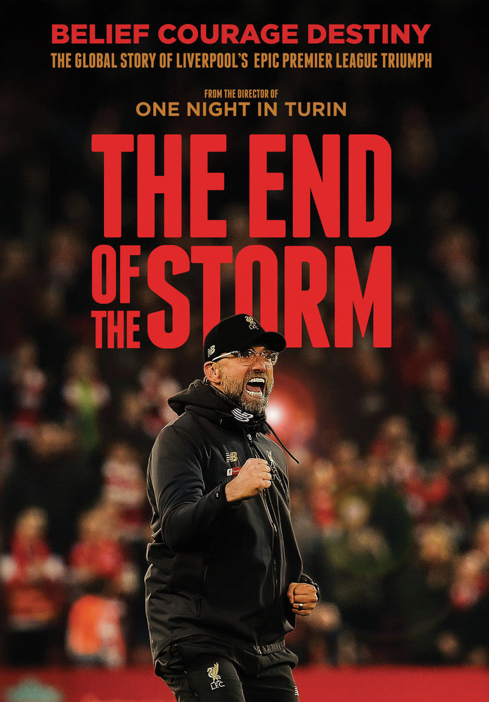 End of the Storm cover art
