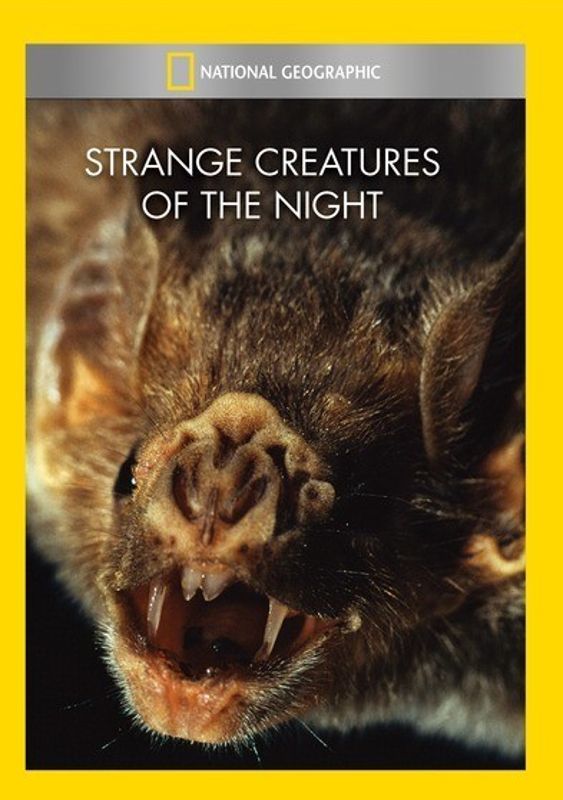National Geographic: Strange Creatures of the Night cover art