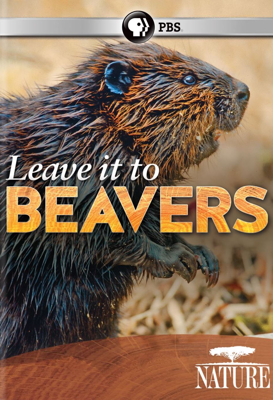 Nature: Leave It to Beavers cover art