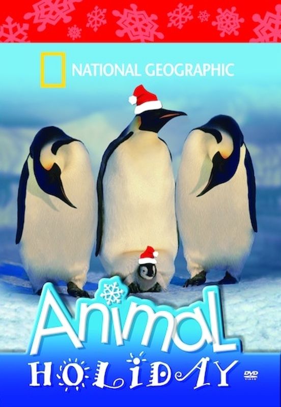 National Geographic: Animal Holiday cover art