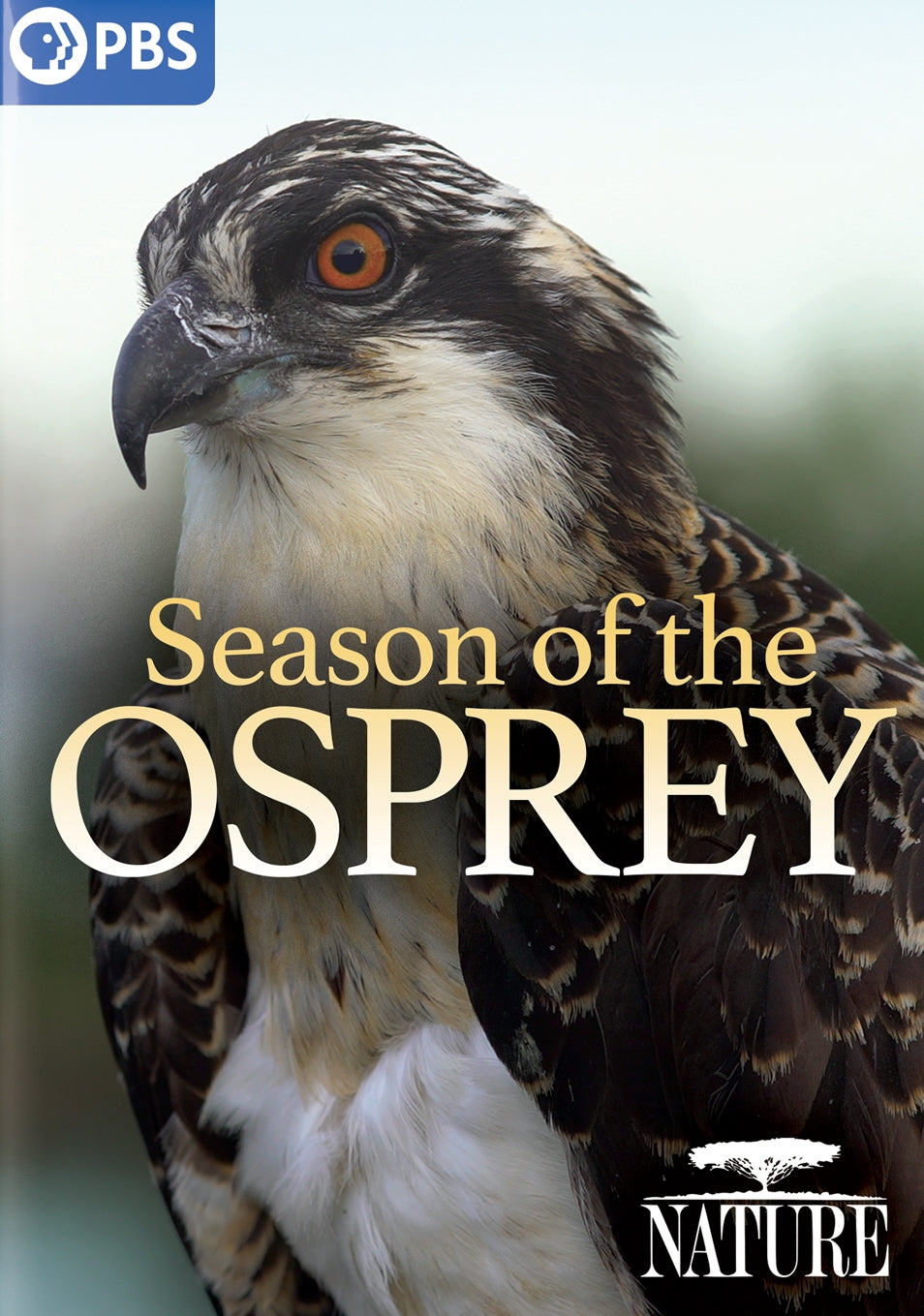 Nature: Season of the Osprey cover art