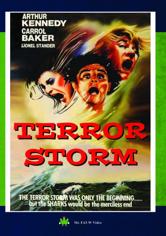 Terror Storm cover art