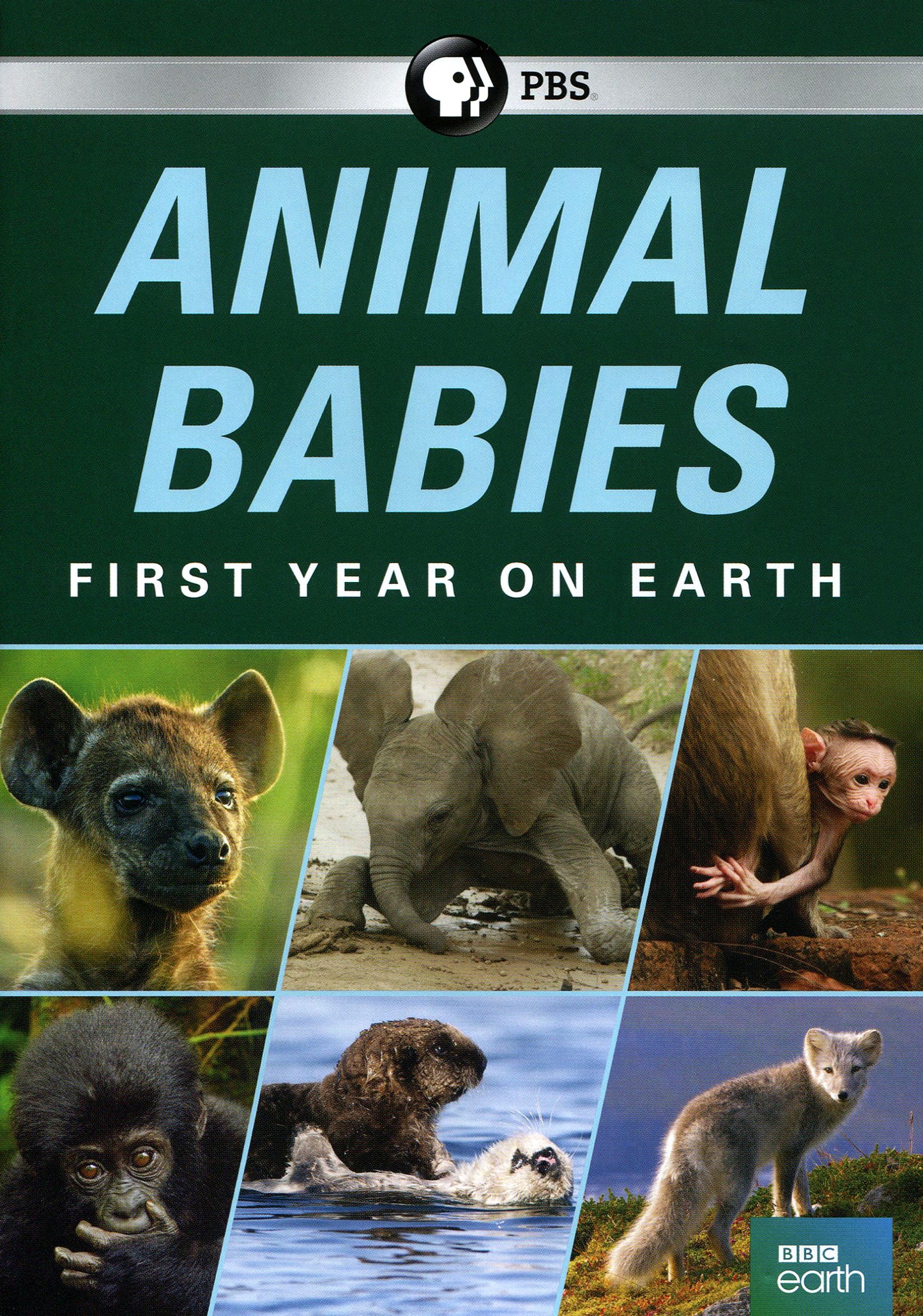 Animal Babies: First Year on Earth cover art