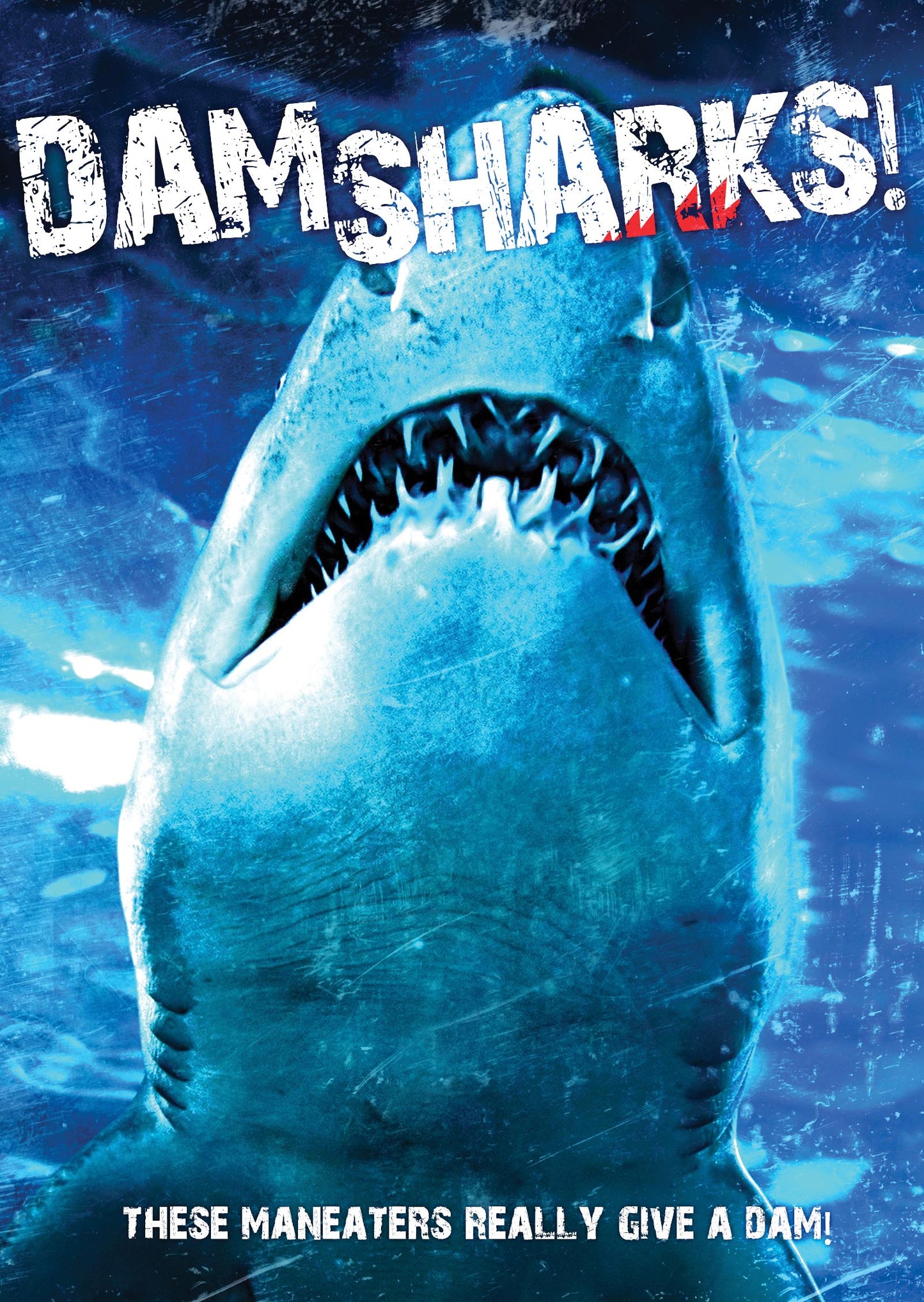 Dam Sharks! cover art