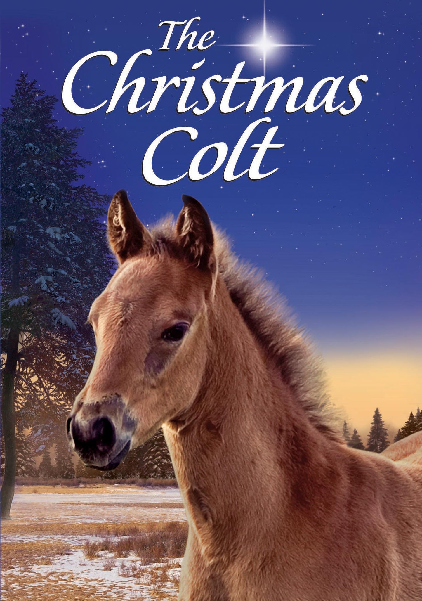 Christmas Colt cover art