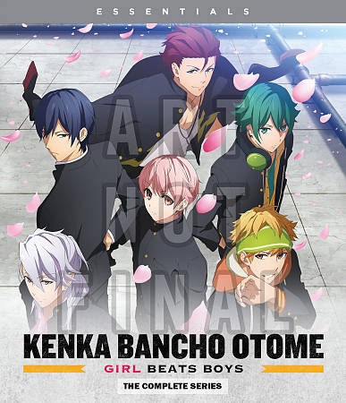 Kenka Bancho Otome: Girl Beats Boys: The Complete Series cover art