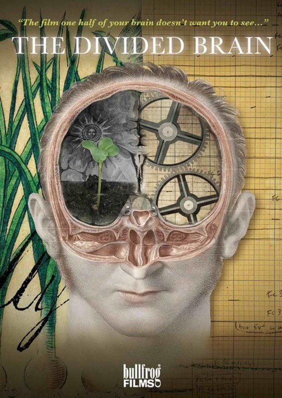 Divided Brain cover art
