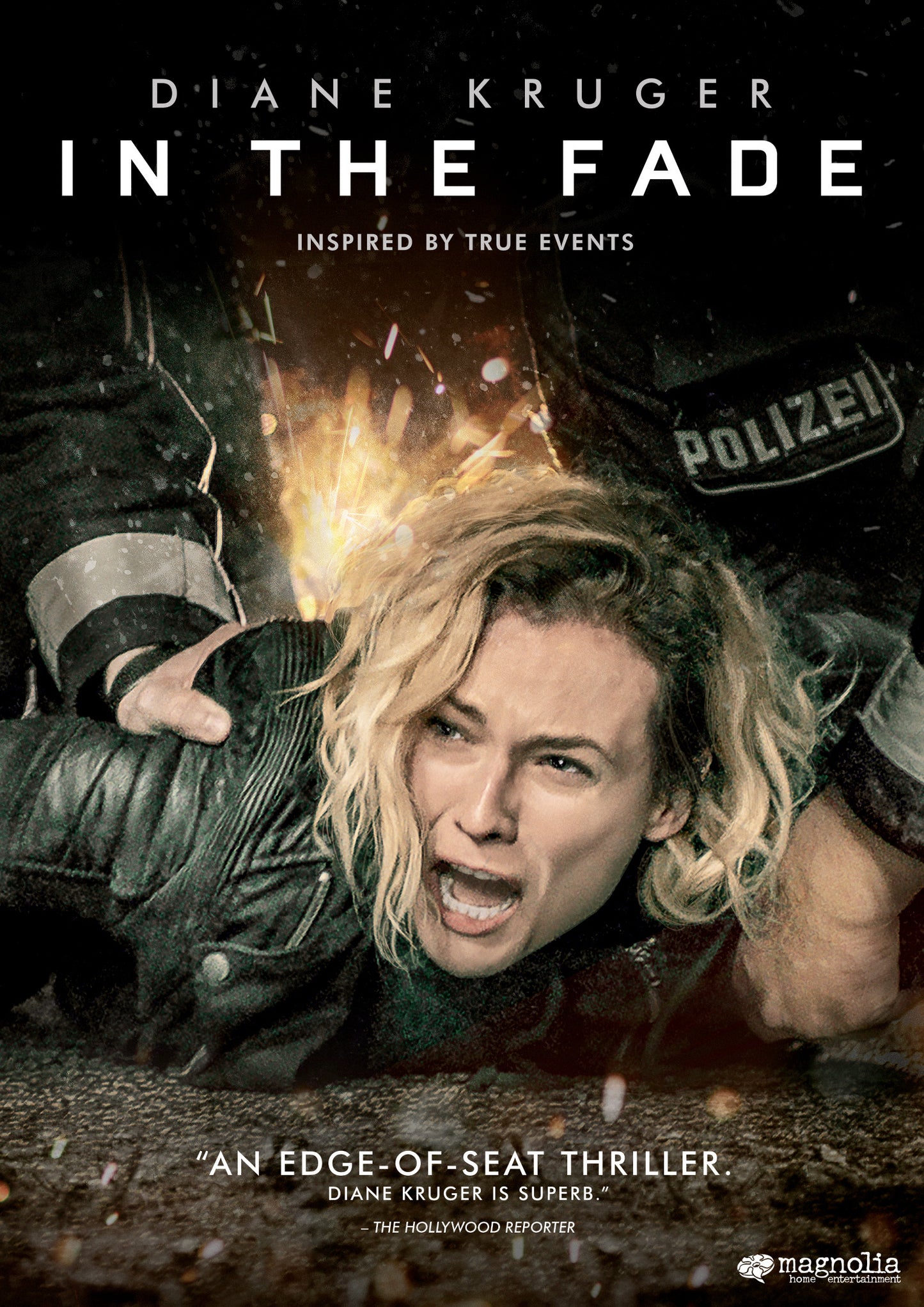 In the Fade cover art