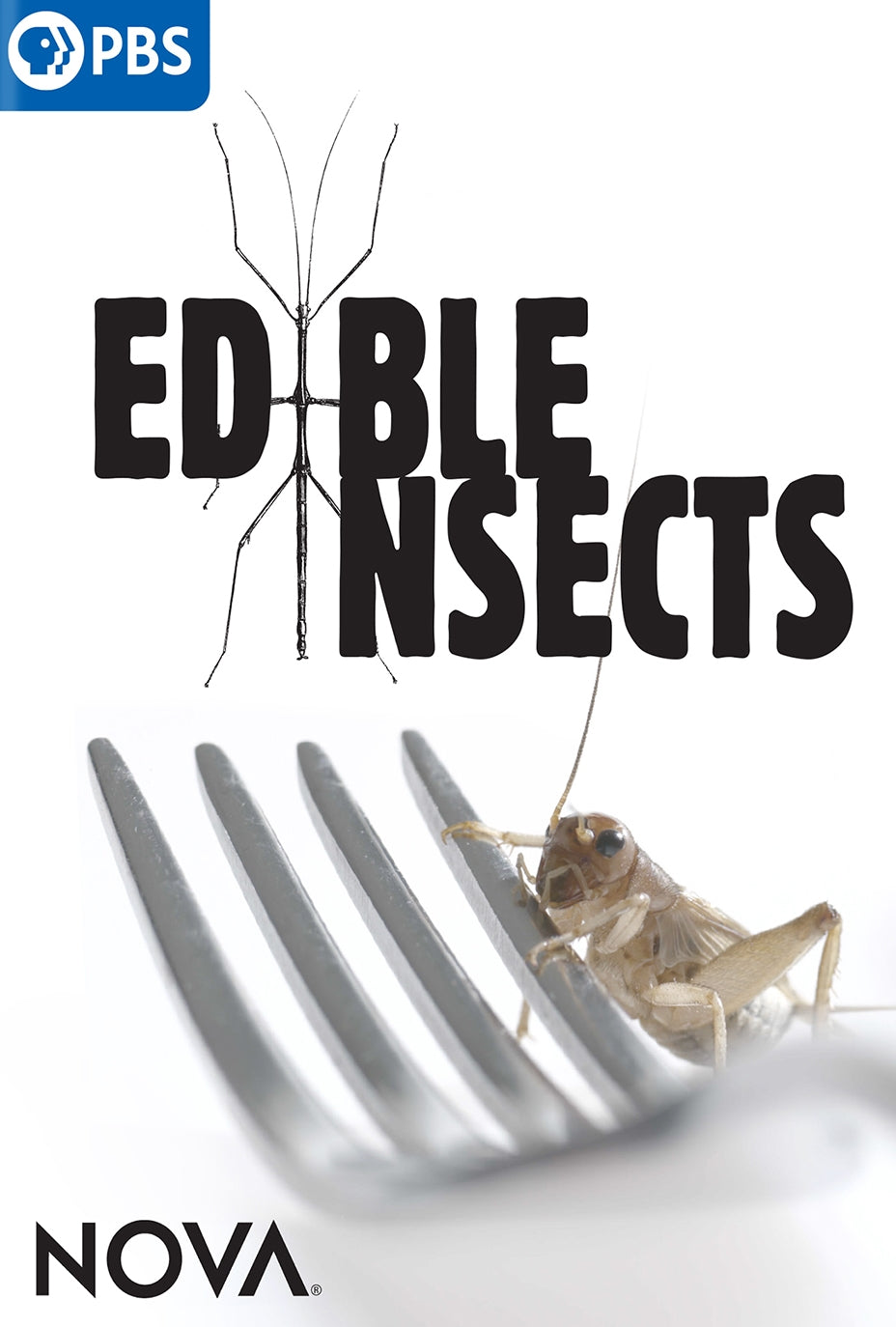 NOVA: Edible Insects cover art