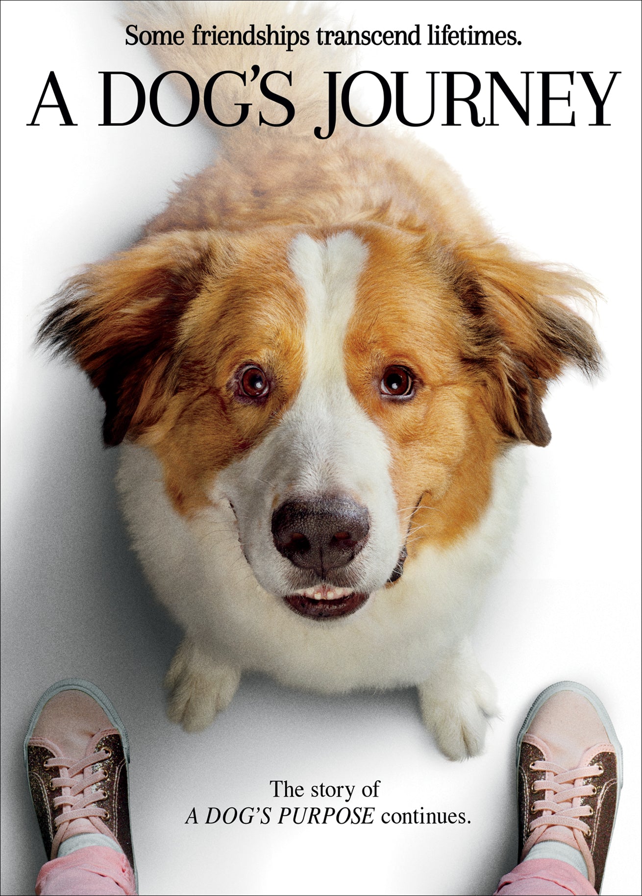 Dog's Journey cover art